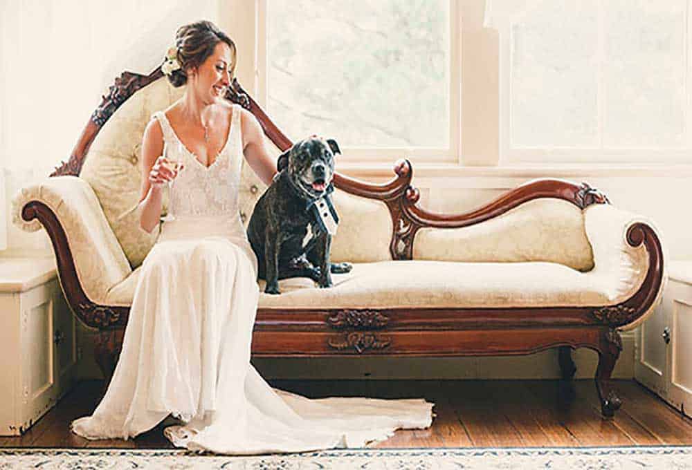 pets at weddings: bride with her bowtie-wearing dog.